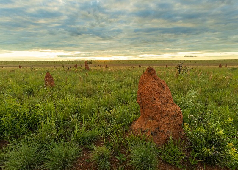 Emas National Park