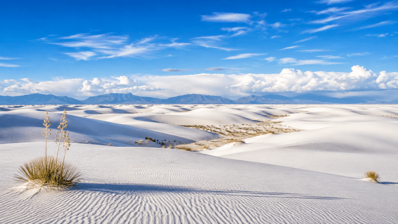 National Park White Sands