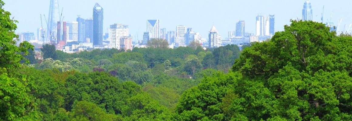 リッチモンド公園