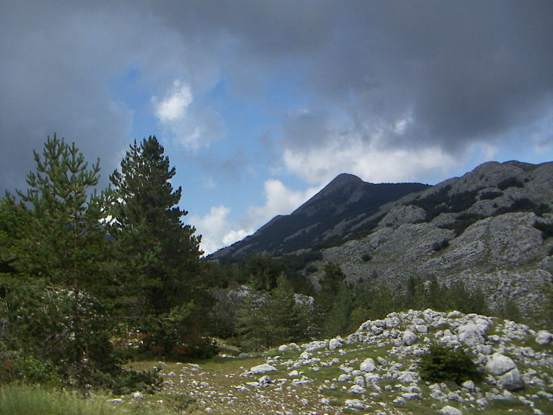 Parc national de Lovchen