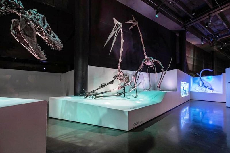 Houston Museum für Naturwissenschaften