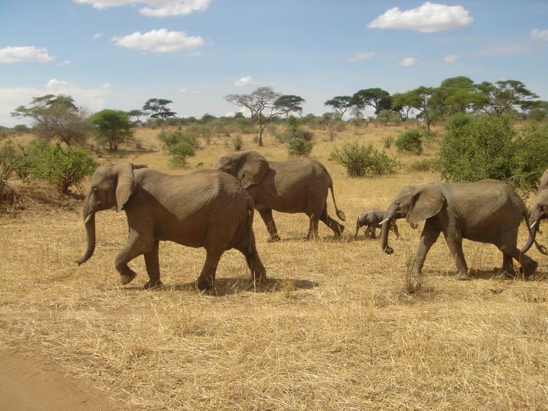 Arusha National Park
