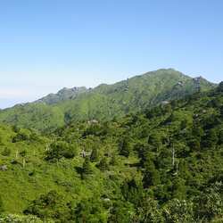 جزيرة ياكوشيما