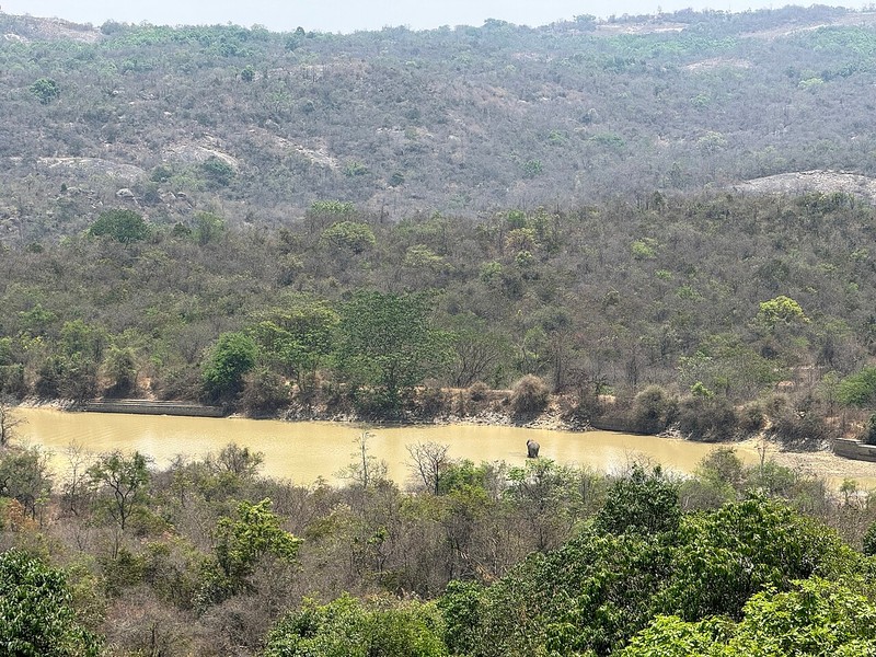 حديقة بانرغاتا الوطنية