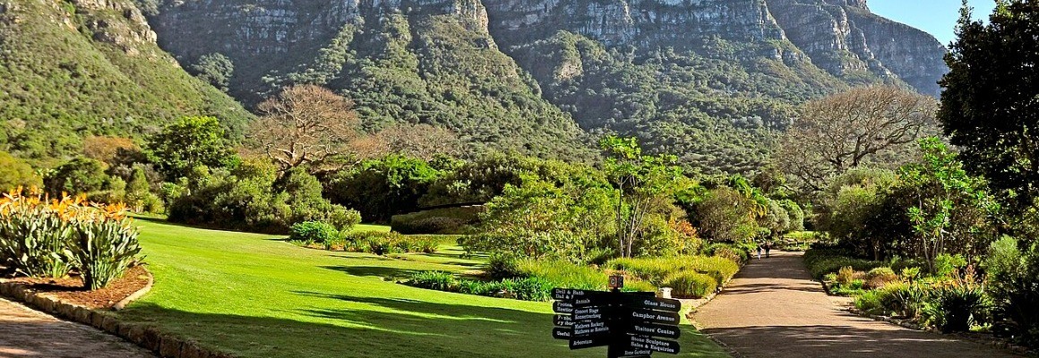 Kirstenbosch
