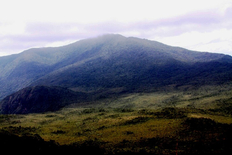 哈米吉坦山脉野生生物保护区