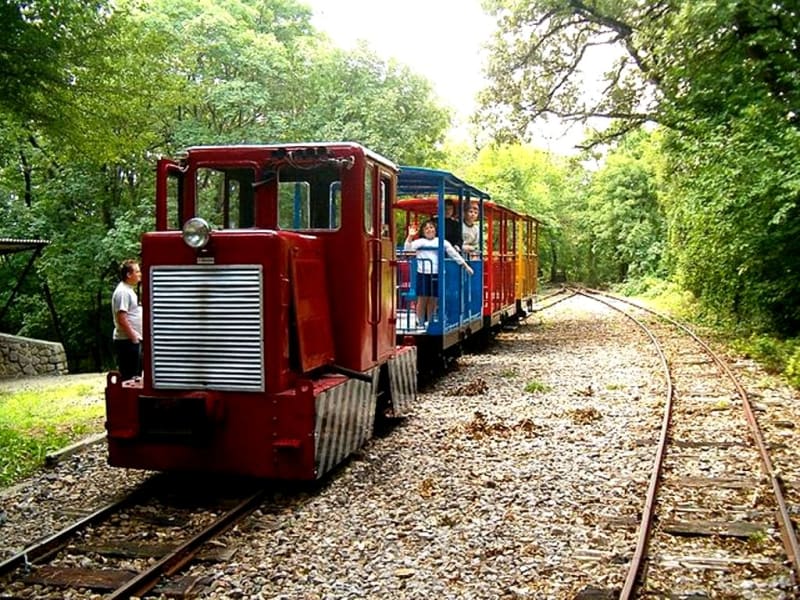 Лісова залізниця у Печі