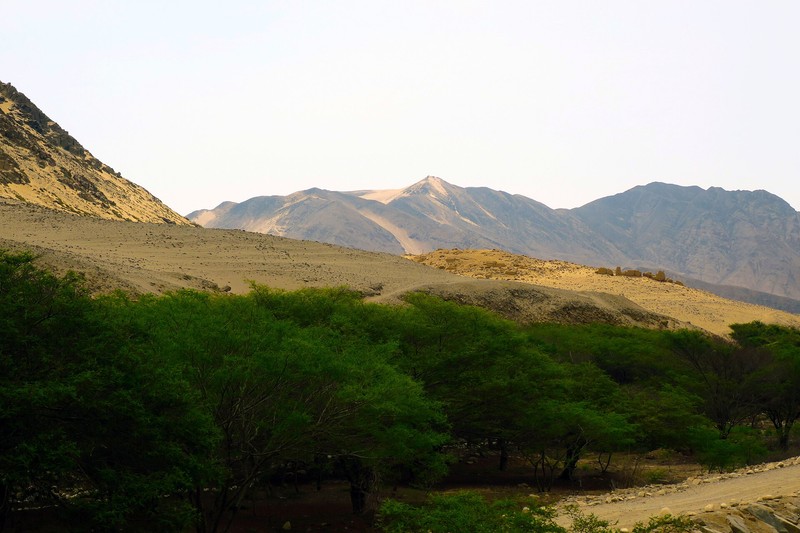 Caral