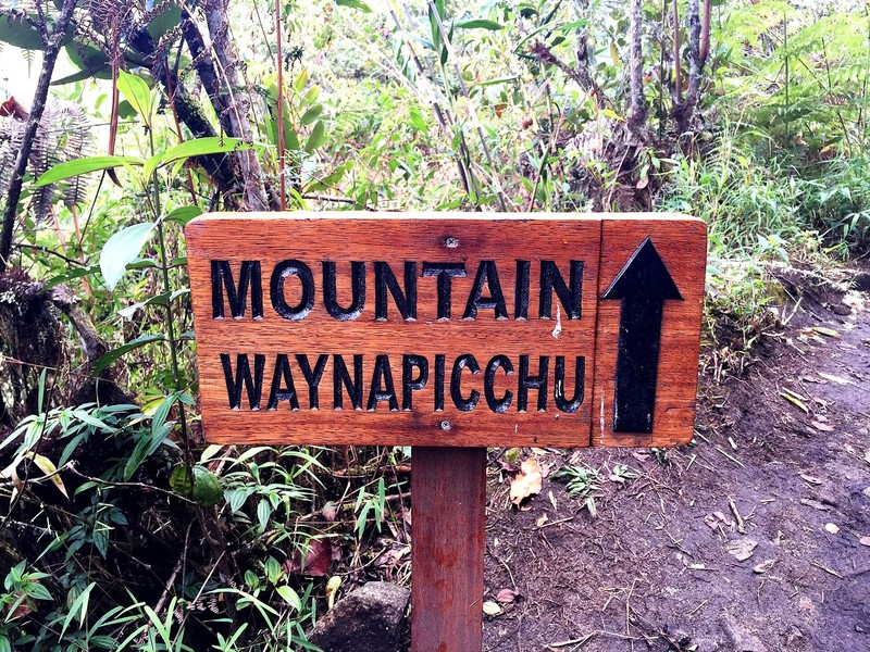 Huayna Picchu