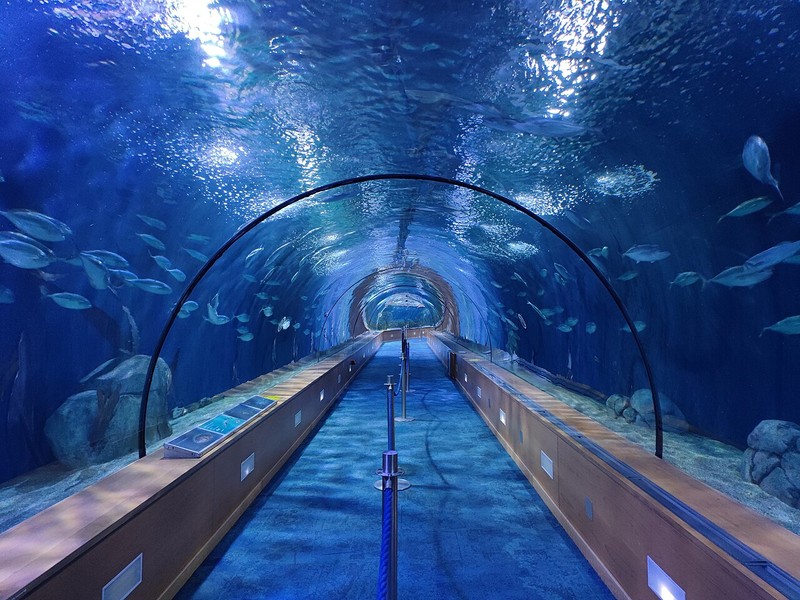 Valencia Oceanographic Park
