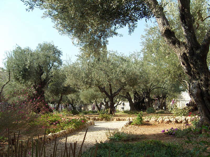 Jardim Getsêmani