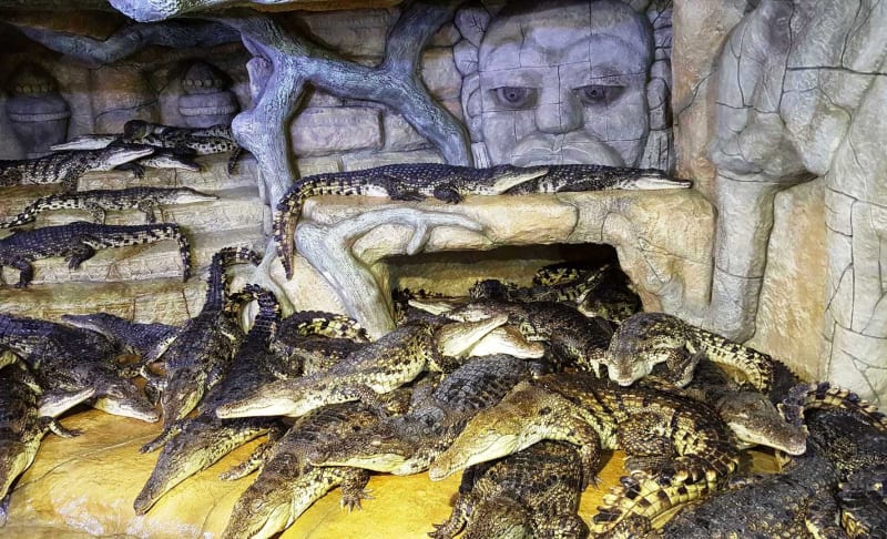 ヤルタのワニ園