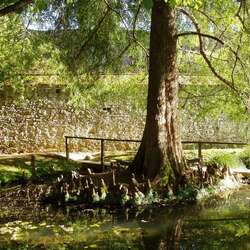 Jardim Botânico de Lucca