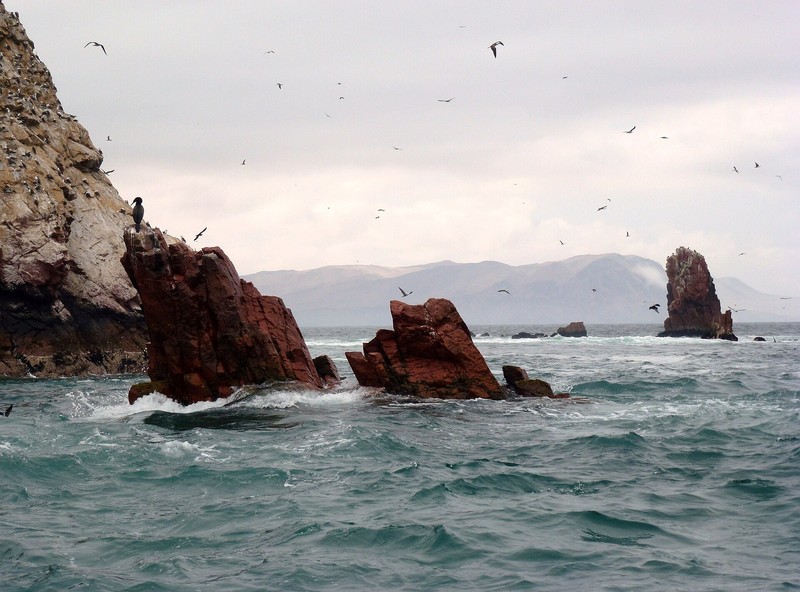 Ballestas-Inseln