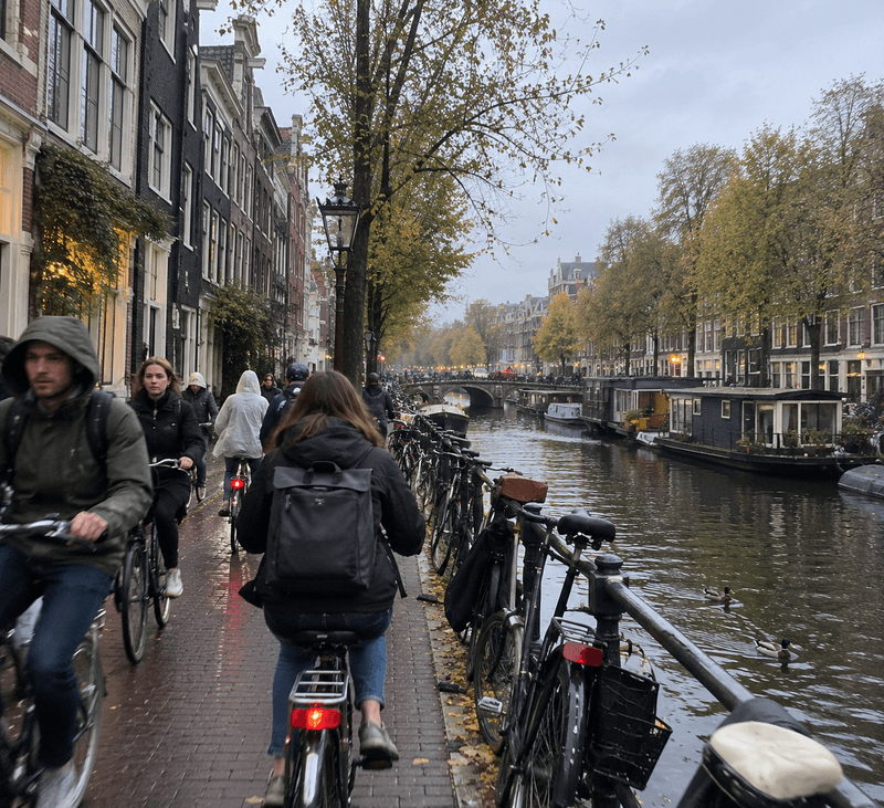 The Netherlands by Bike: Three Routes and Rules of the Road