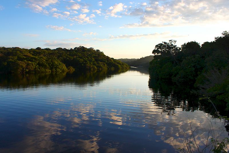 Parque Nacional Jaú