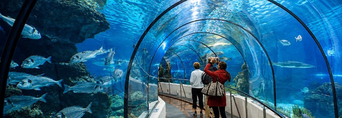 Aquarium de Barcelone