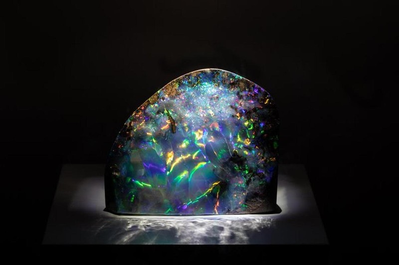 Houston Museum für Naturwissenschaften