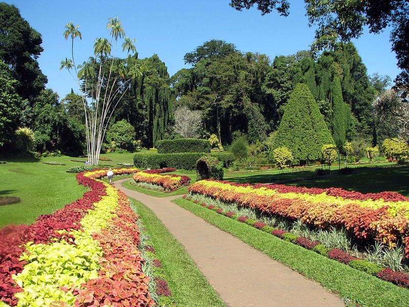 Jardim Botânico Real de Peradeniya