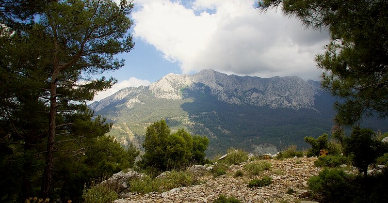 Parque Nacional Olympos-Beydaglari - photo 12