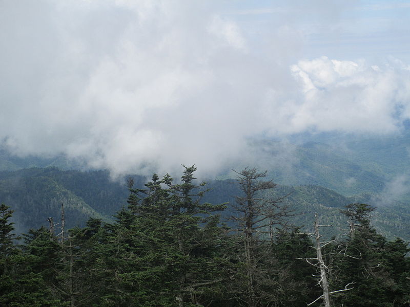 حديقة جبال غريت سموكي الوطنية