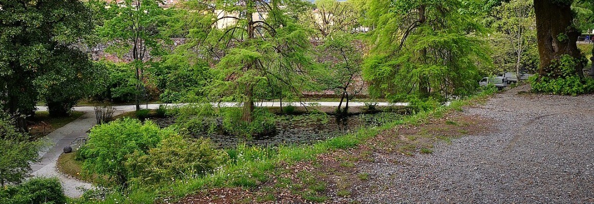 Jardín Botánico de Lucca