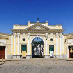 قرائة كيناس