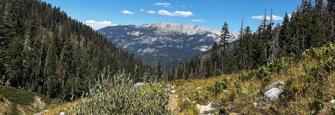 Parque Nacional Secuoyas
