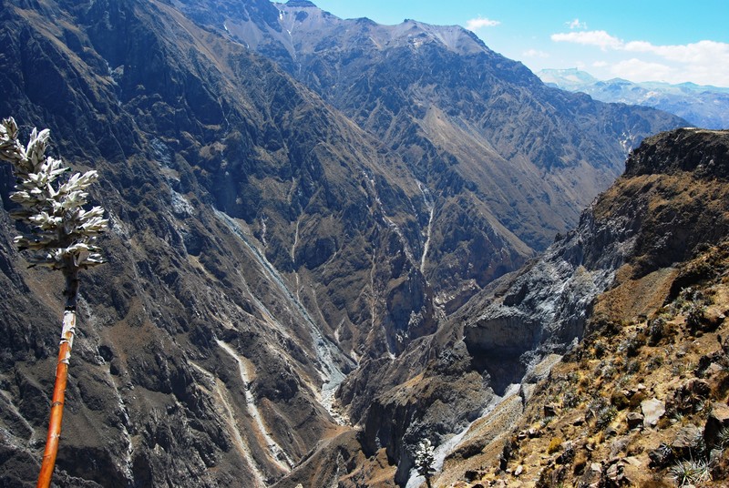 Canyon de Colca