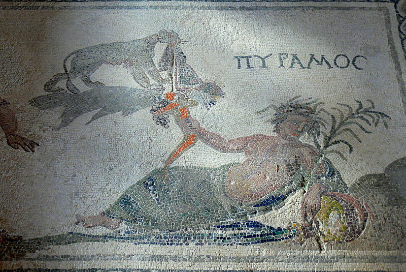 Parc archéologique de Paphos