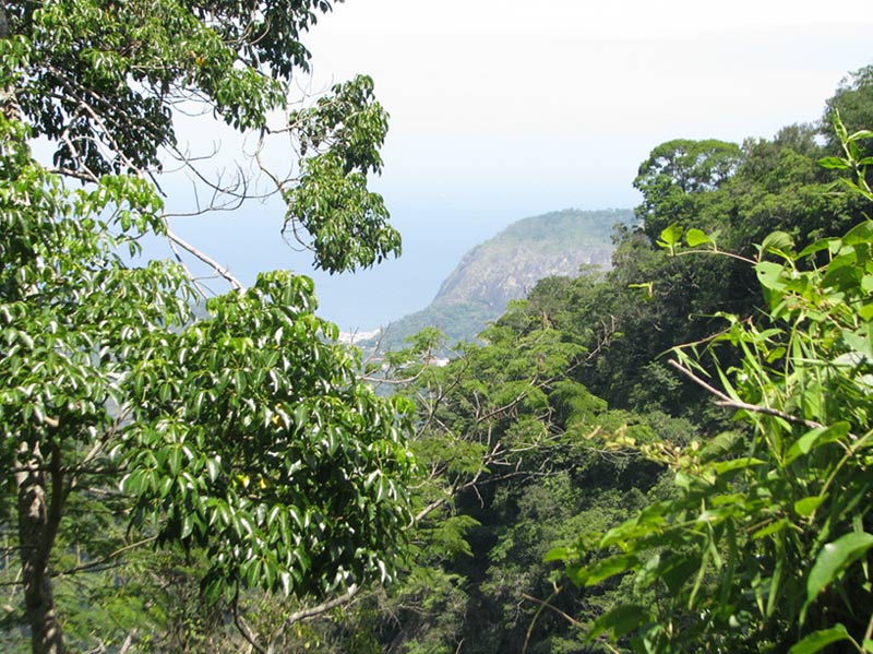 Parque Nacional Tijuca
