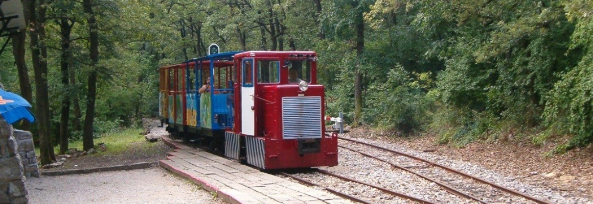 ペーチの森林鉄道