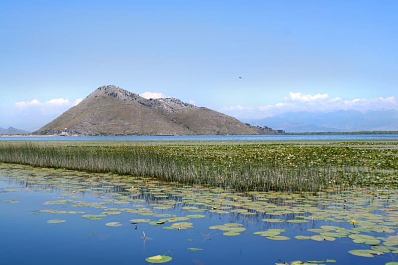 Lago Skadar
