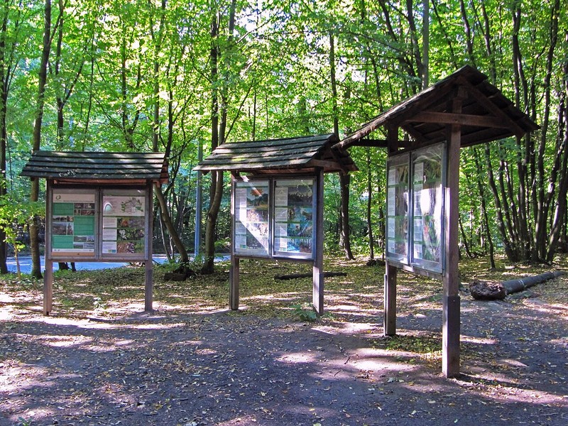 Bosque de Viena