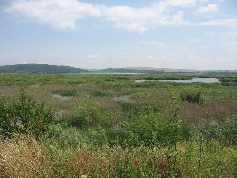 Réserve naturelle de Srébarna