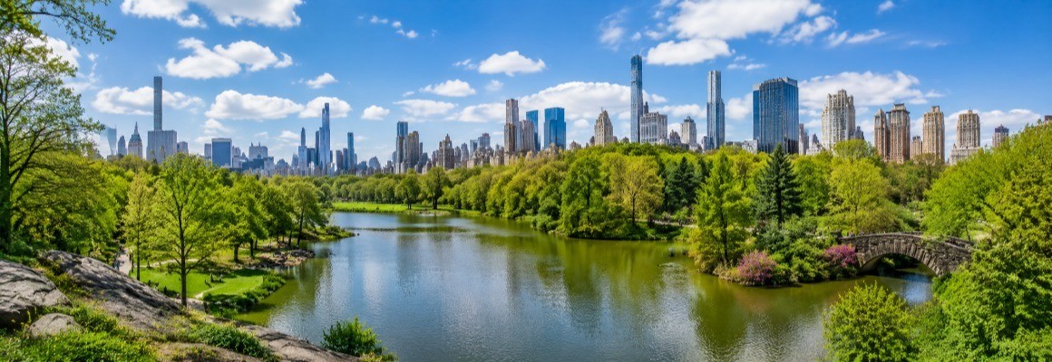 Central Park of New York