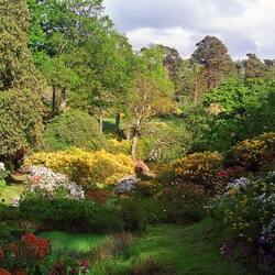 レオナルドリーの庭