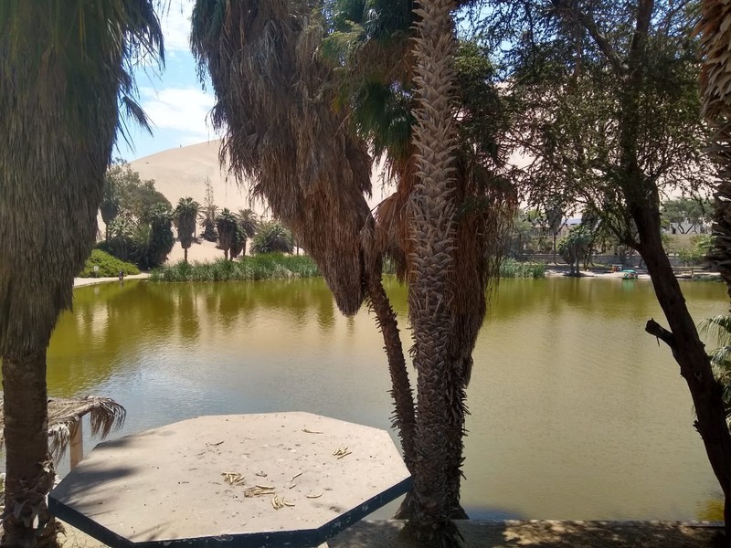 Oasis de Huacachina