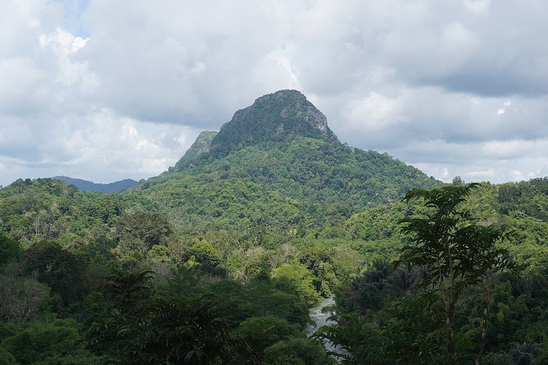 Ilha de Bornéu