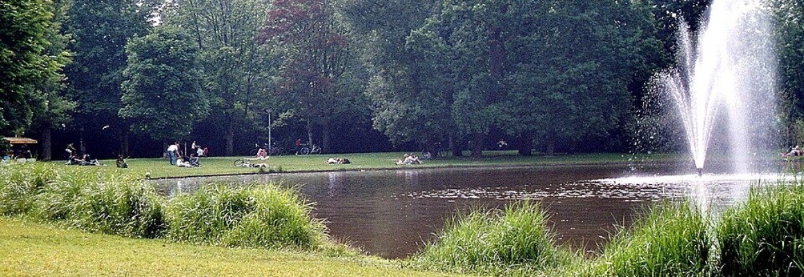 Parque Vondela