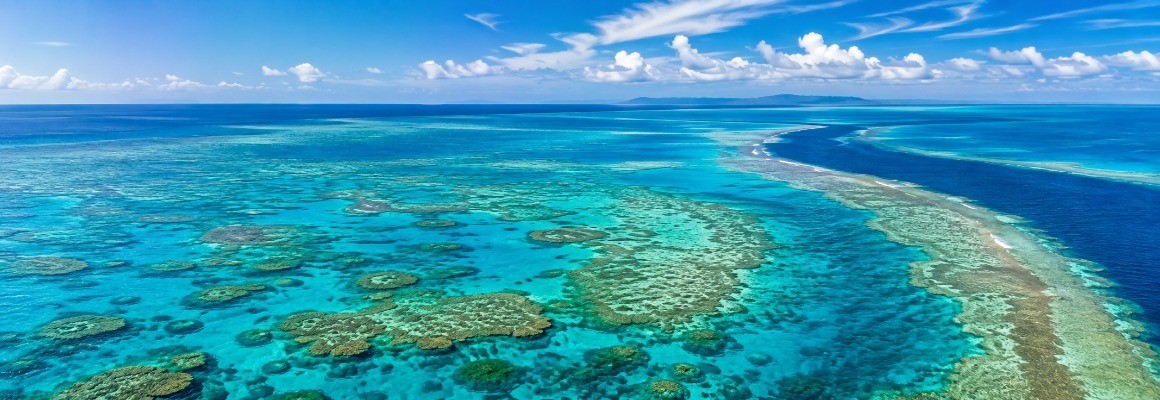 Grande barrière de corail