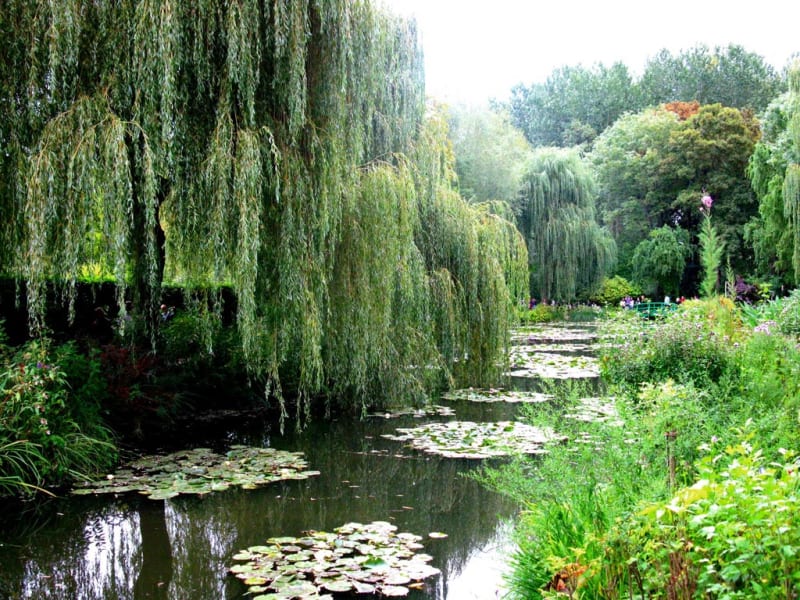 Jardines de Claude Monet