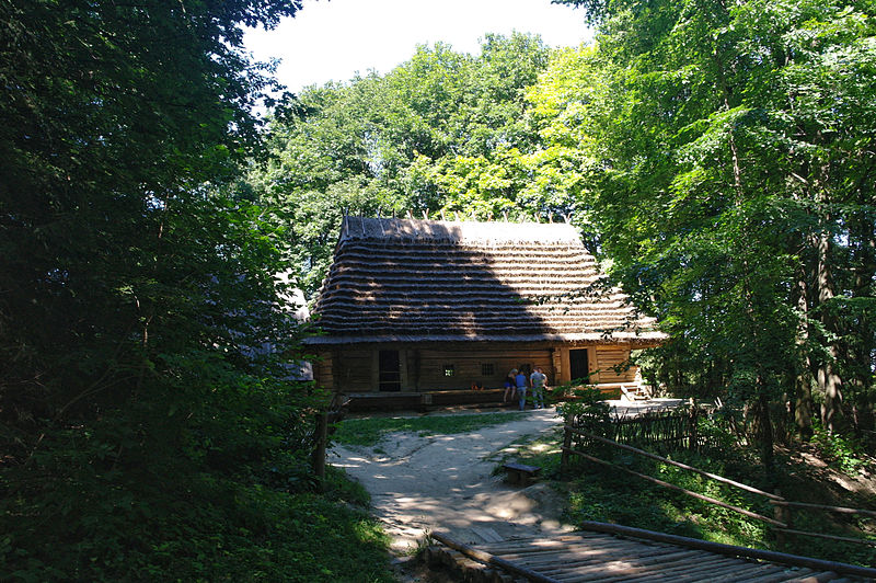 Shevchenkovskoho grove