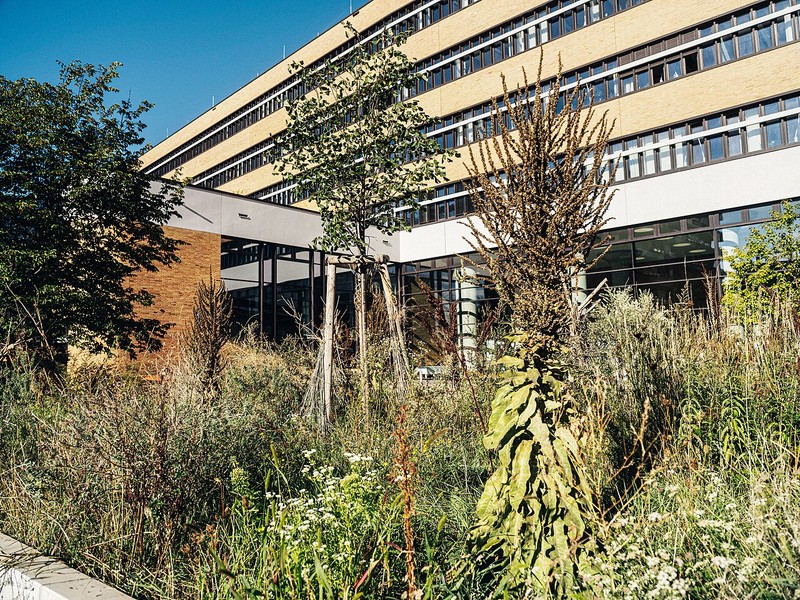 Universidad de Viena