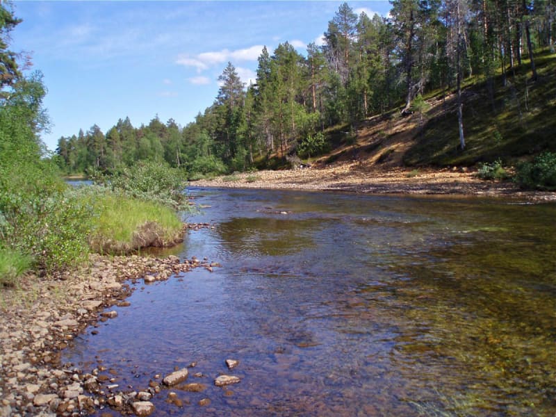 Parque Nacional Lemmenjoki