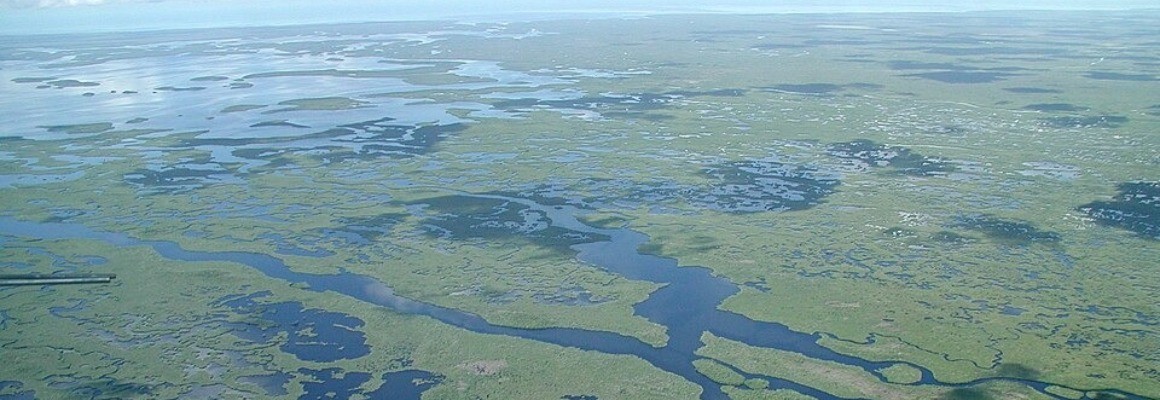 Parc national des Everglades